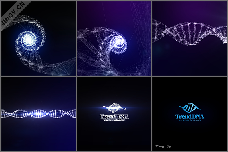 DNA 3s logo演绎