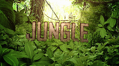 127. The Jungle
