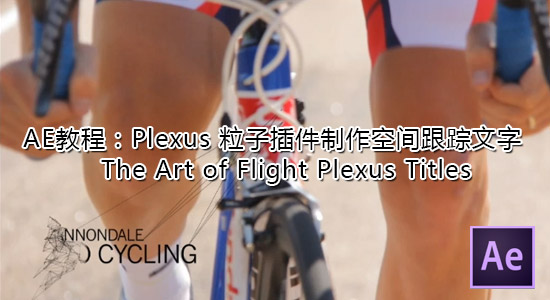 Plexus粒子插件制作空间跟踪文字 The Art of Flight Plexus Titles