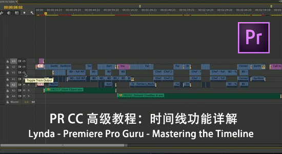 PR CC 高级教程：时间线功能详解 Lynda – Premiere Pro Guru – Mastering the 